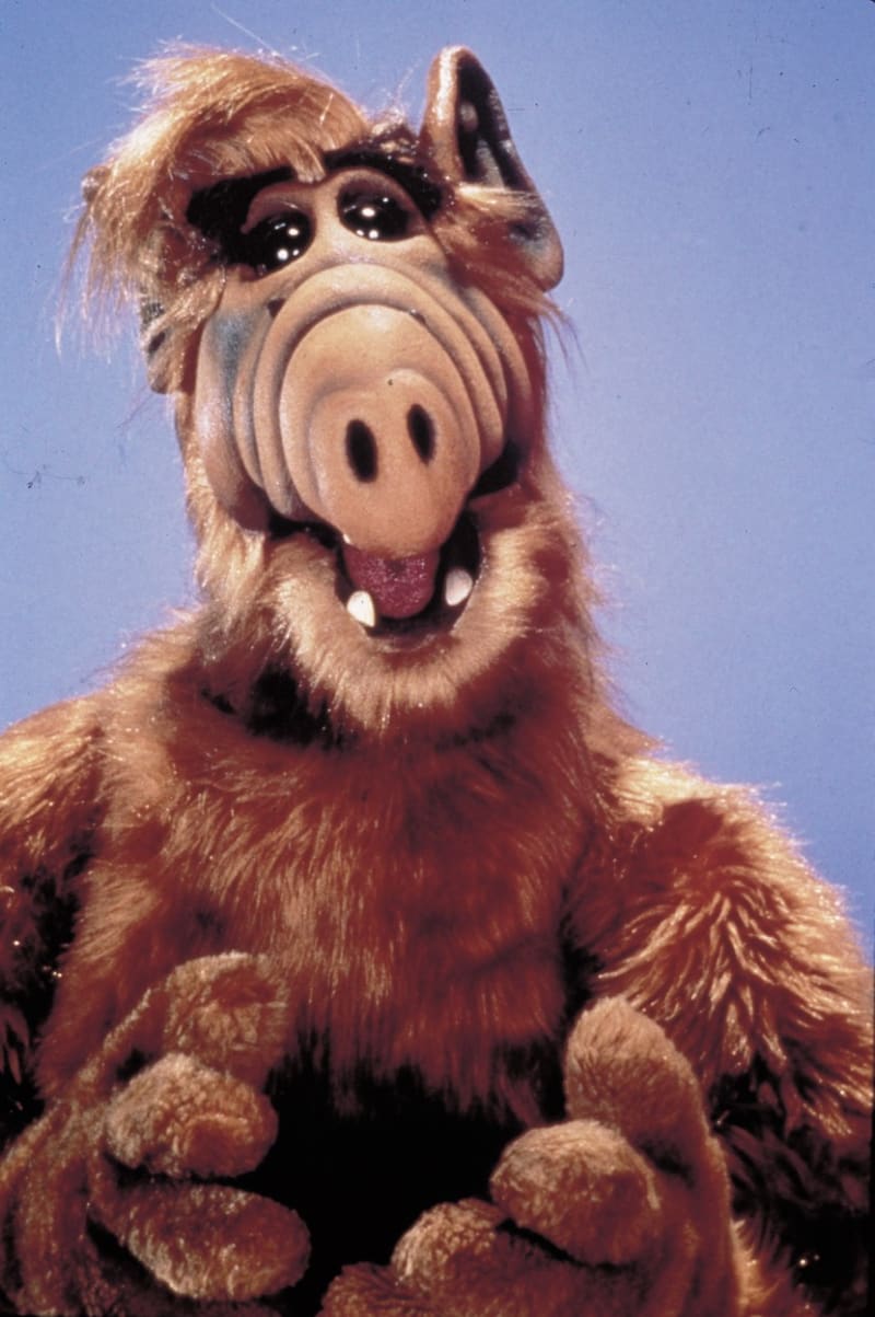 Alf, jak ho všichni známe.