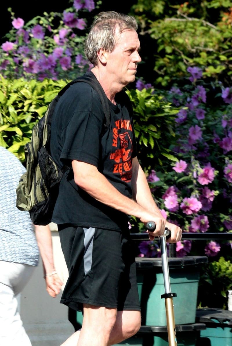 Hugh Laurie (60)