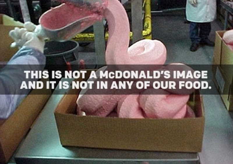 McDonald chtěl vyvrátit to, že dělá jídlo z takovéto pasty