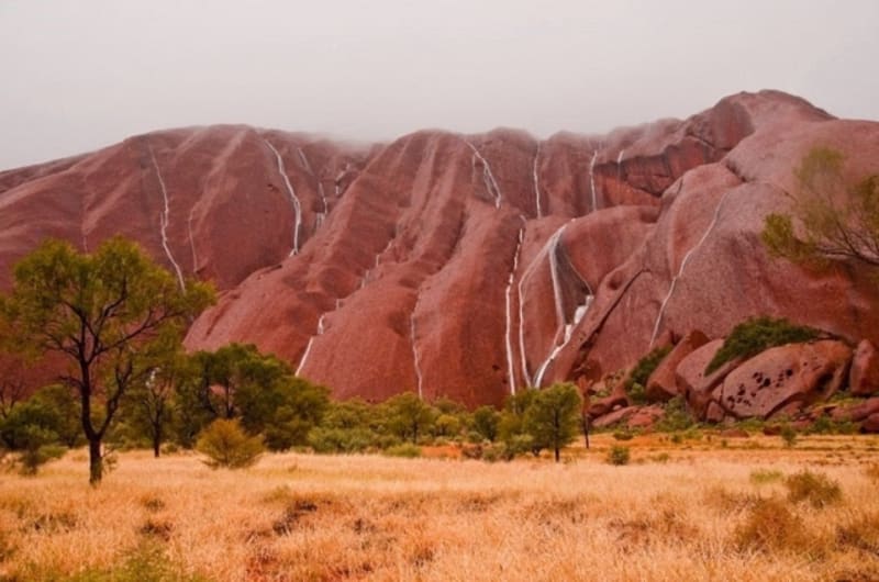 Ayers Rock, cesta Mala, Austrálie