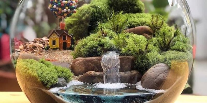 Miniaturní okrasná zahrada v teráriu