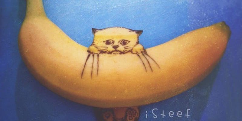 Umění z banánů