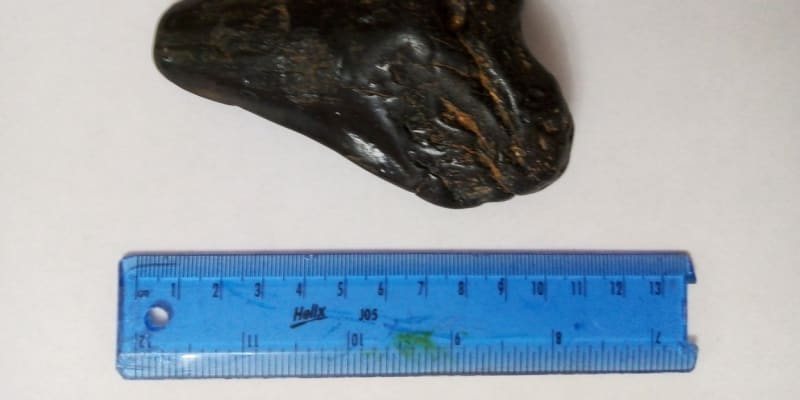 Zub megalodona měří přes 10 centimetrů.