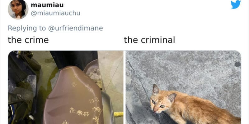 Zvířecí zločiny 3
