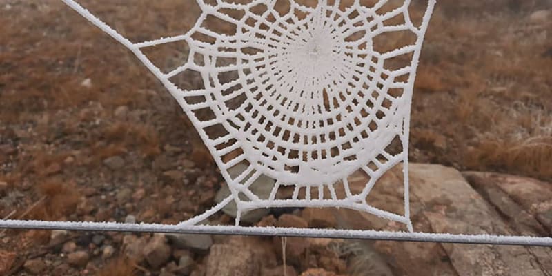 Zmrzlá pavoučí síť vypadá jako háčkovaná dečka