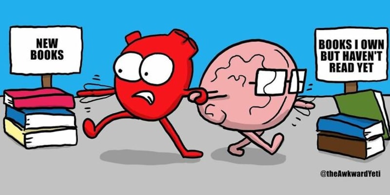 Nekonečná bitva mezi srdcem a mozkem 2