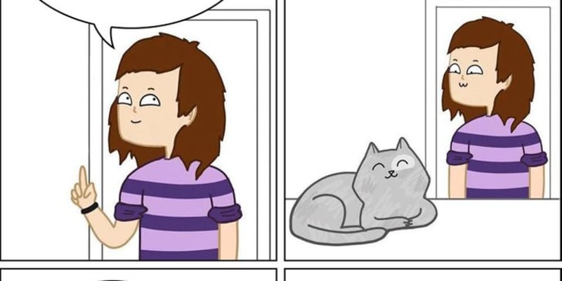 Pravdivé ilustrace ze života s kočkami 6