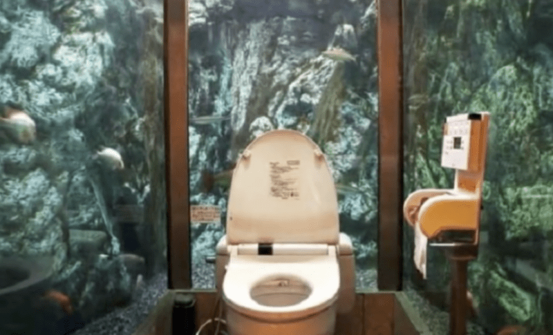 Nejšílenější záchody světa 17
