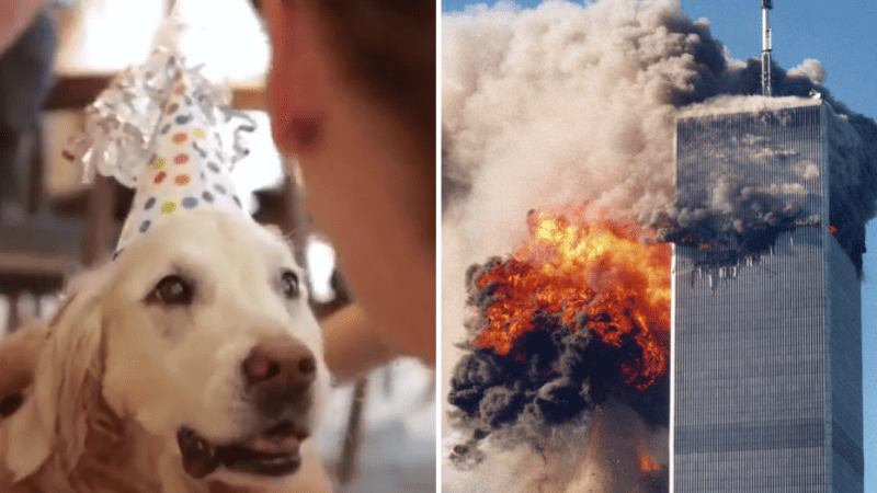 VIDEO: Poslední žijící pes, který zachraňoval lidi během 11. září, oslavil šestnácté narozeniny ve velkém stylu!