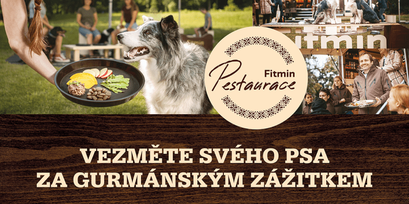 Ani letos nebude chybět Pestaurace Fitmin, která je zážitkem nejen pro psy, ale i pro jejich páníčky.
