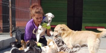 Laura s manželem zachraňují psy. Zasáhla je ale zákeřná nemoc a pomoc teď potřebují oni