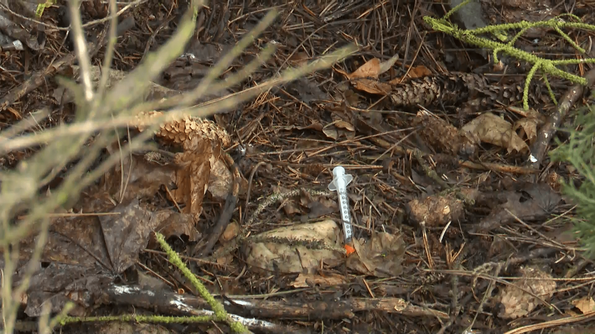 Učitelky na zahradě plzeňské školky našli další odhozenou injekční stříkačku