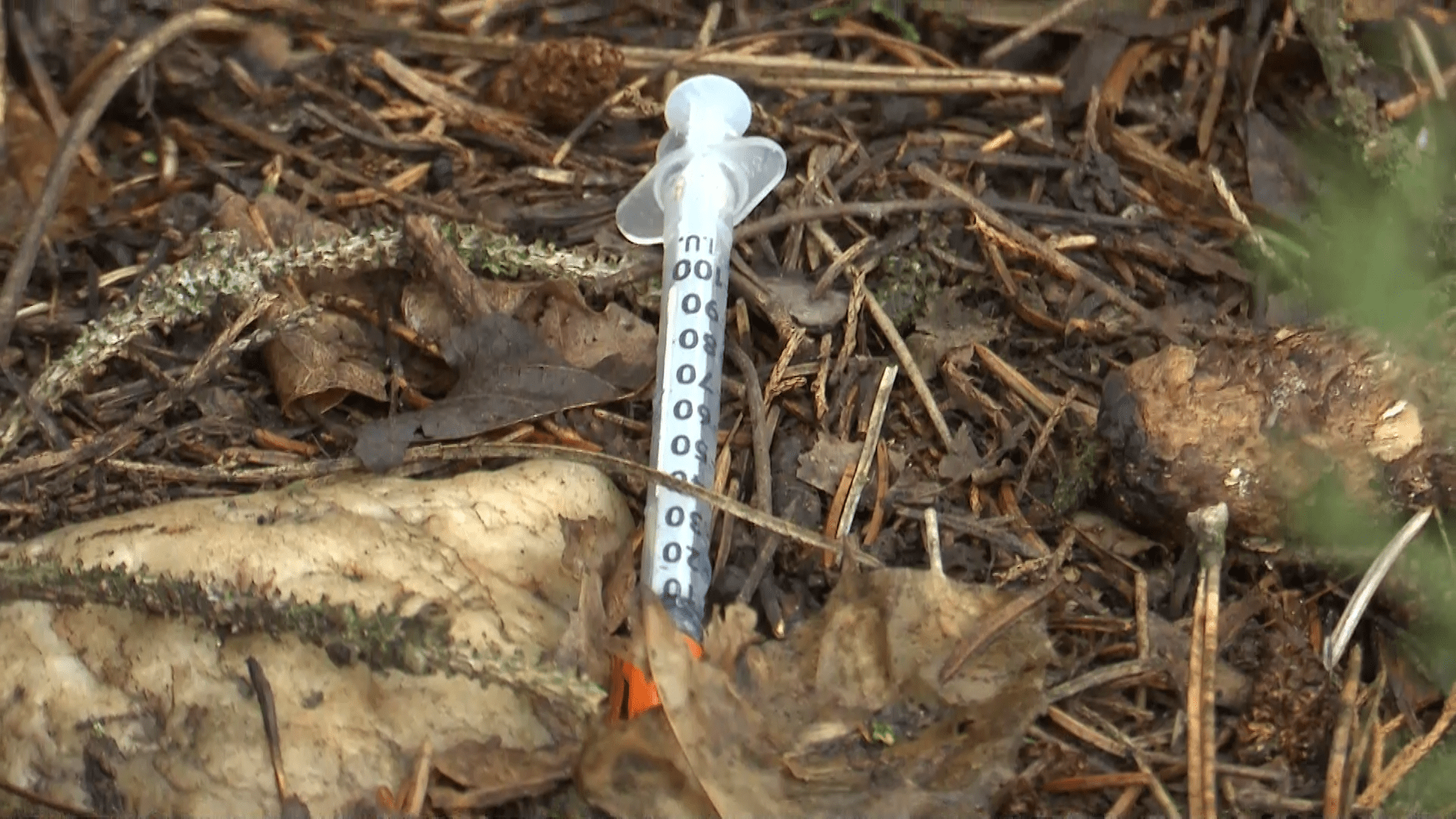 Učitelky na zahradě plzeňské školky našli další odhozenou injekční stříkačku