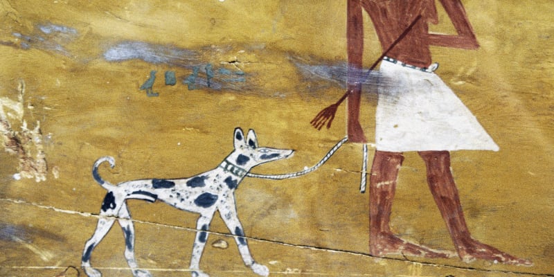 Ku se svým psem Meniu Pu – dekorace na sarkofágu, egyptská Střední říše