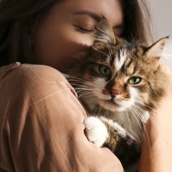 Kočky se podle kočičí psycholožky vychovat dají