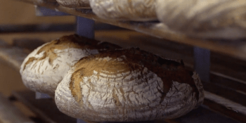 Poctivá práce podle tradičního receptu: Jak Tisou provoní čerstvý chléb z bukových necek