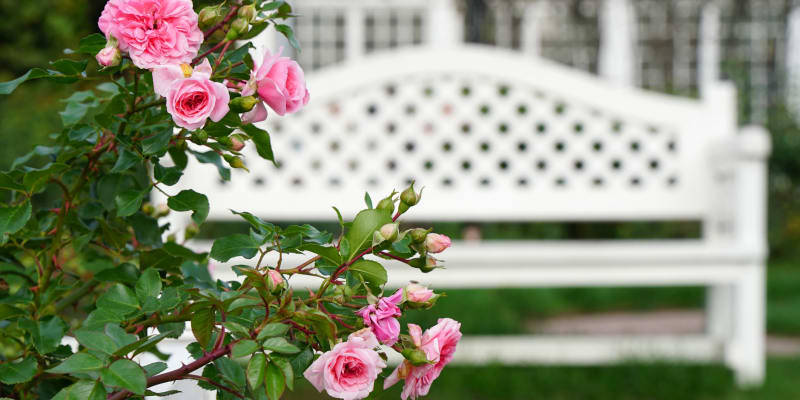 Zahradní lavička v tomto stylu působí velmi romanticky