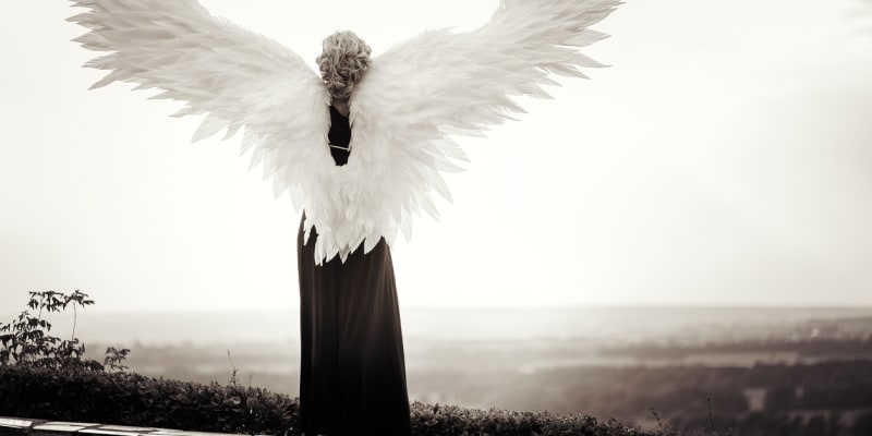 Přes křídla s vámi komunikují andělé.