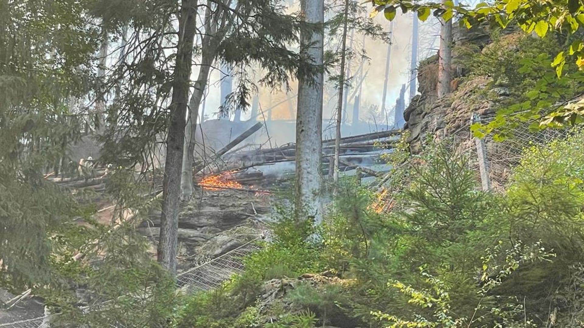 Rozsáhlý lesní požár vypukl na konci července 2022.
