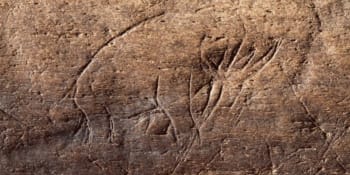 Unikátní nález na Ostravsku. Archeologové odhalili 15 tisíc let starou rytinu mamuta a koně