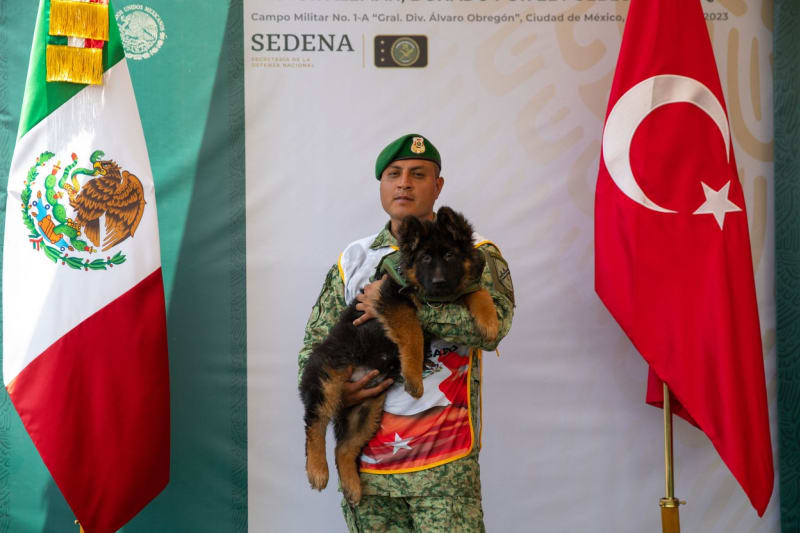 Turecko darovalo Mexiku štěně.