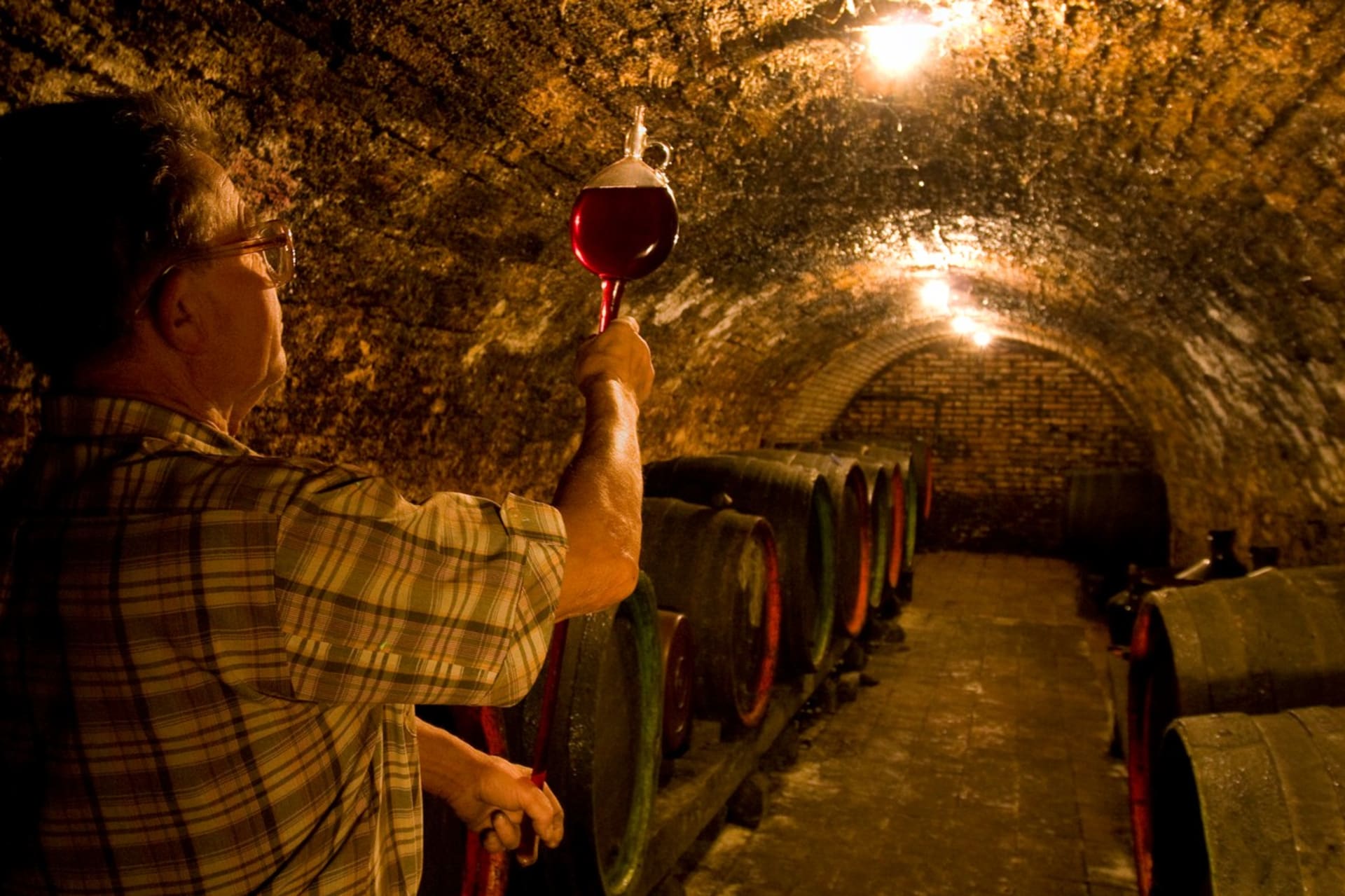 Spotřební daň na tiché víno by existenčně ohrozilo moravské vinaře, míní svaz.
