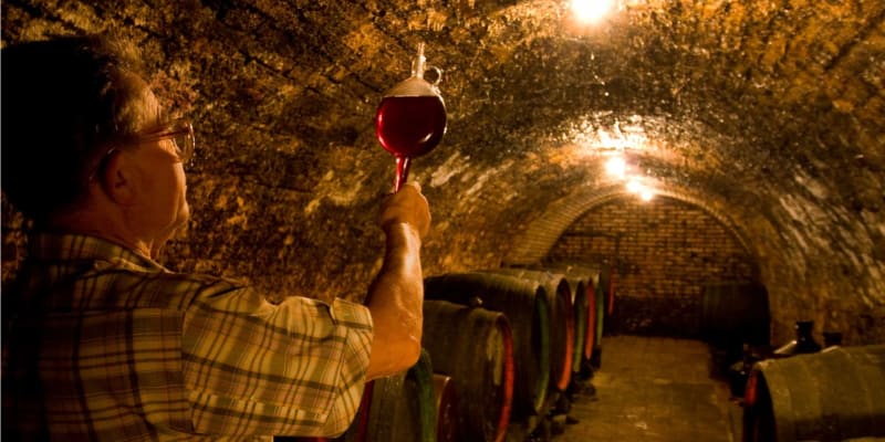 Spotřební daň na tiché víno by existenčně ohrozilo moravské vinaře, míní svaz.