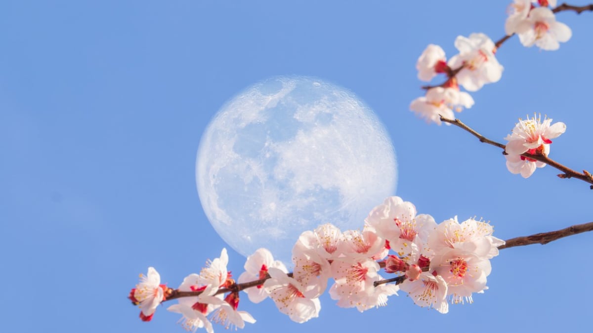 Lunární kalendář: Co dělat pro své zdraví a krásu podle vlivu měsíce? 