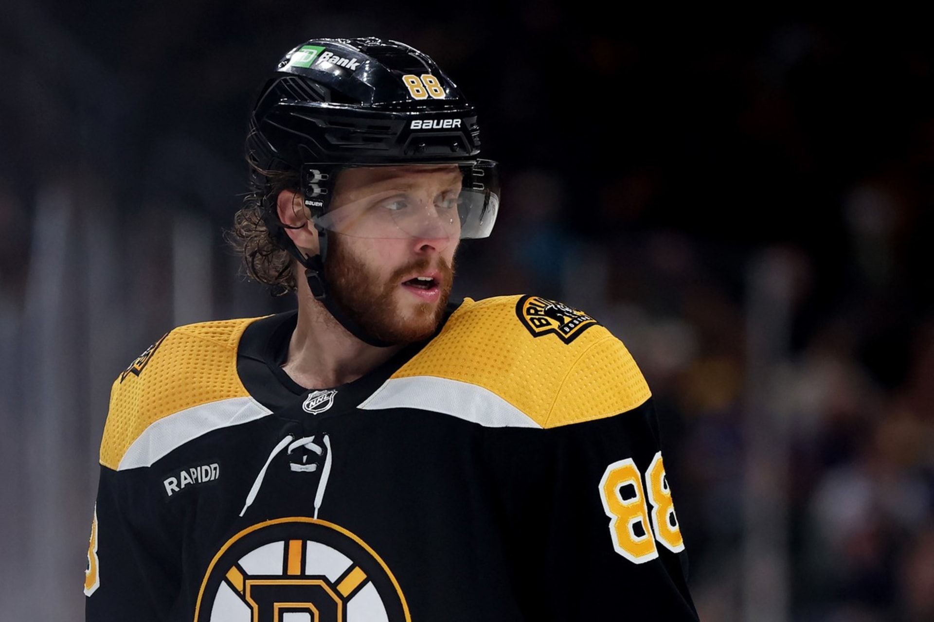 David Pastrňák je český hokejový útočník momentálně hrající v týmu Boston Bruins v americké NHL.
