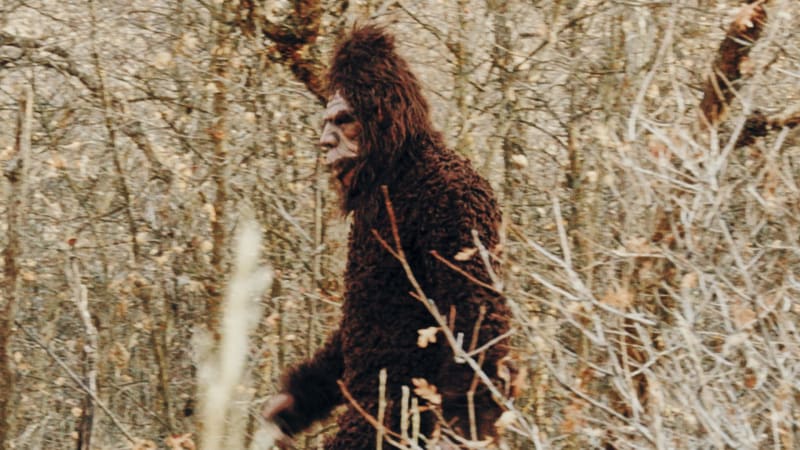 Záběry záhadného Bigfoota zaostřila a stabilizovala umělá inteligence. Čitelnější video nikdy nebylo
