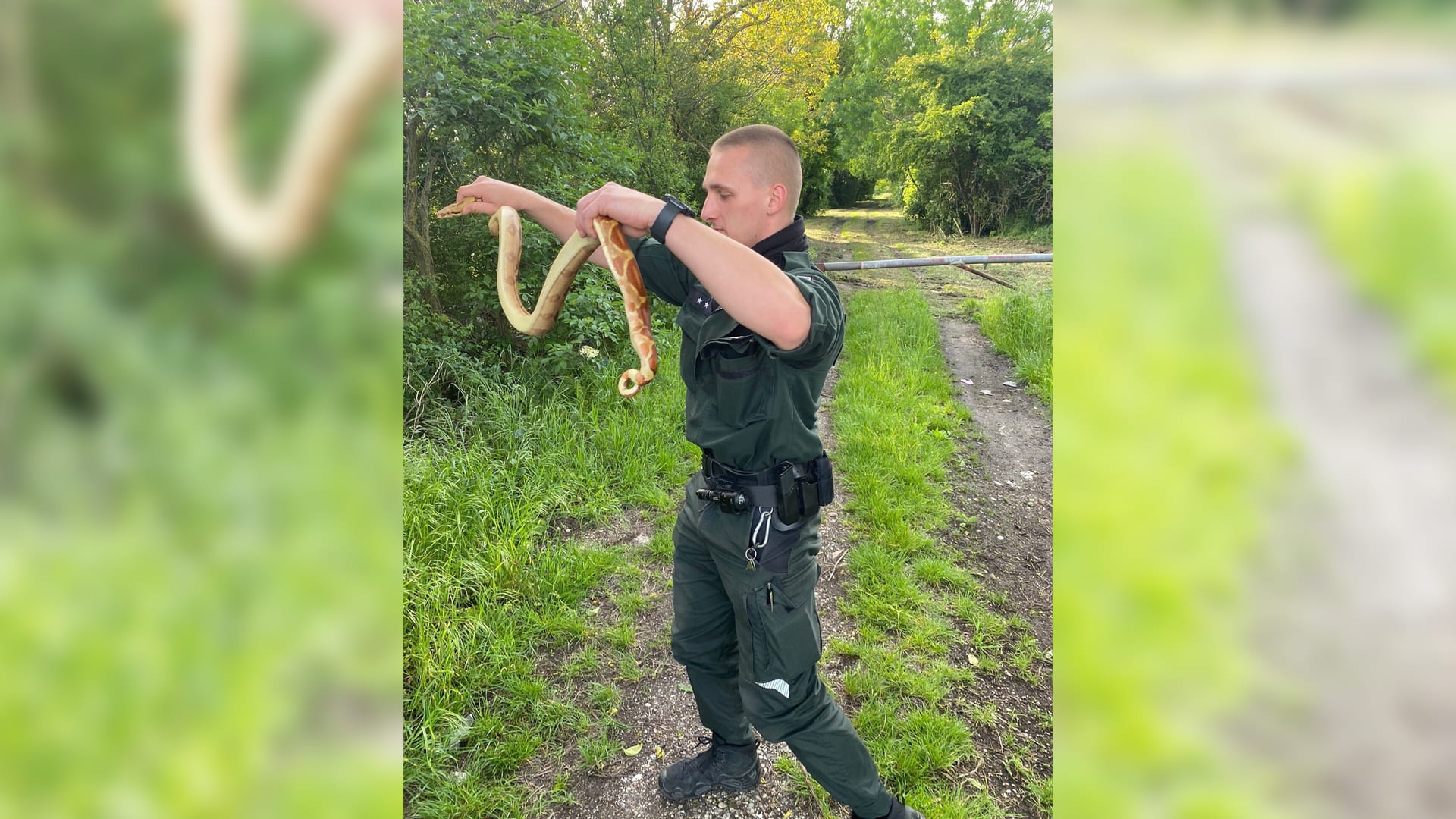 Na jihu Slovenska policisté u cesty našli šest exotických hadů.