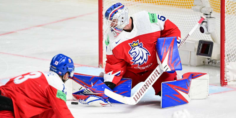 Čeští hokejisté v duelu se Slovinci.