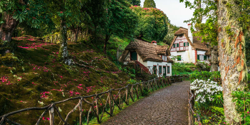 Madeiře se přezdívá ostrov věčného jara. I ona se letos stala Čechy vyhledávanou destinací pro letní dovolenou. 