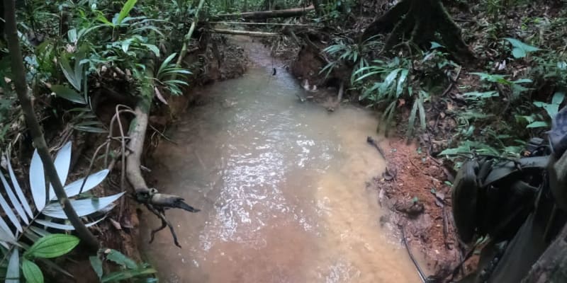 Pátrací týmy nalezly nové stopy u potoka v džungli departamentu Caquetá.