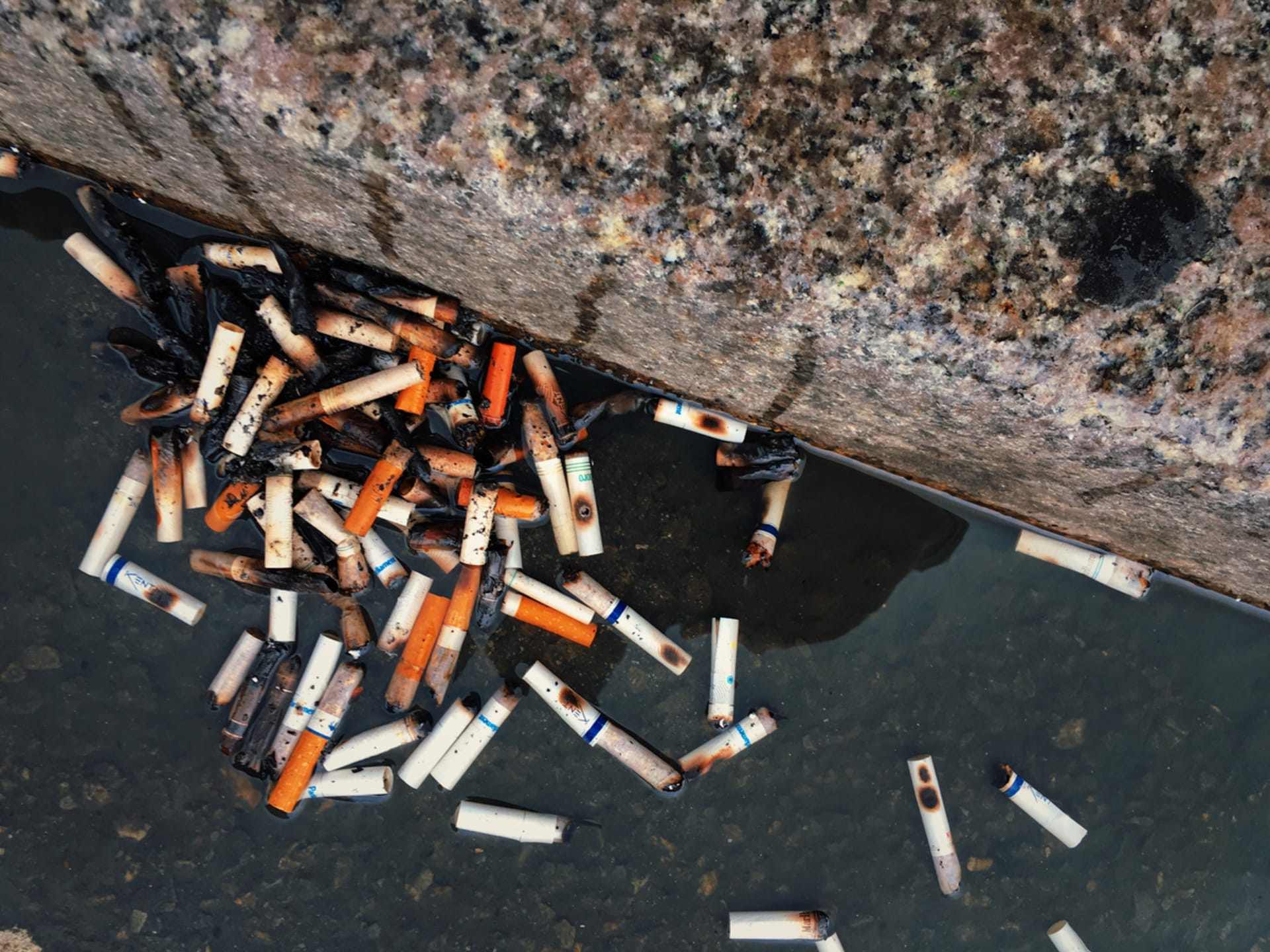 Cigaretové nedopalky jsou podle vědců nebezpečný odpad