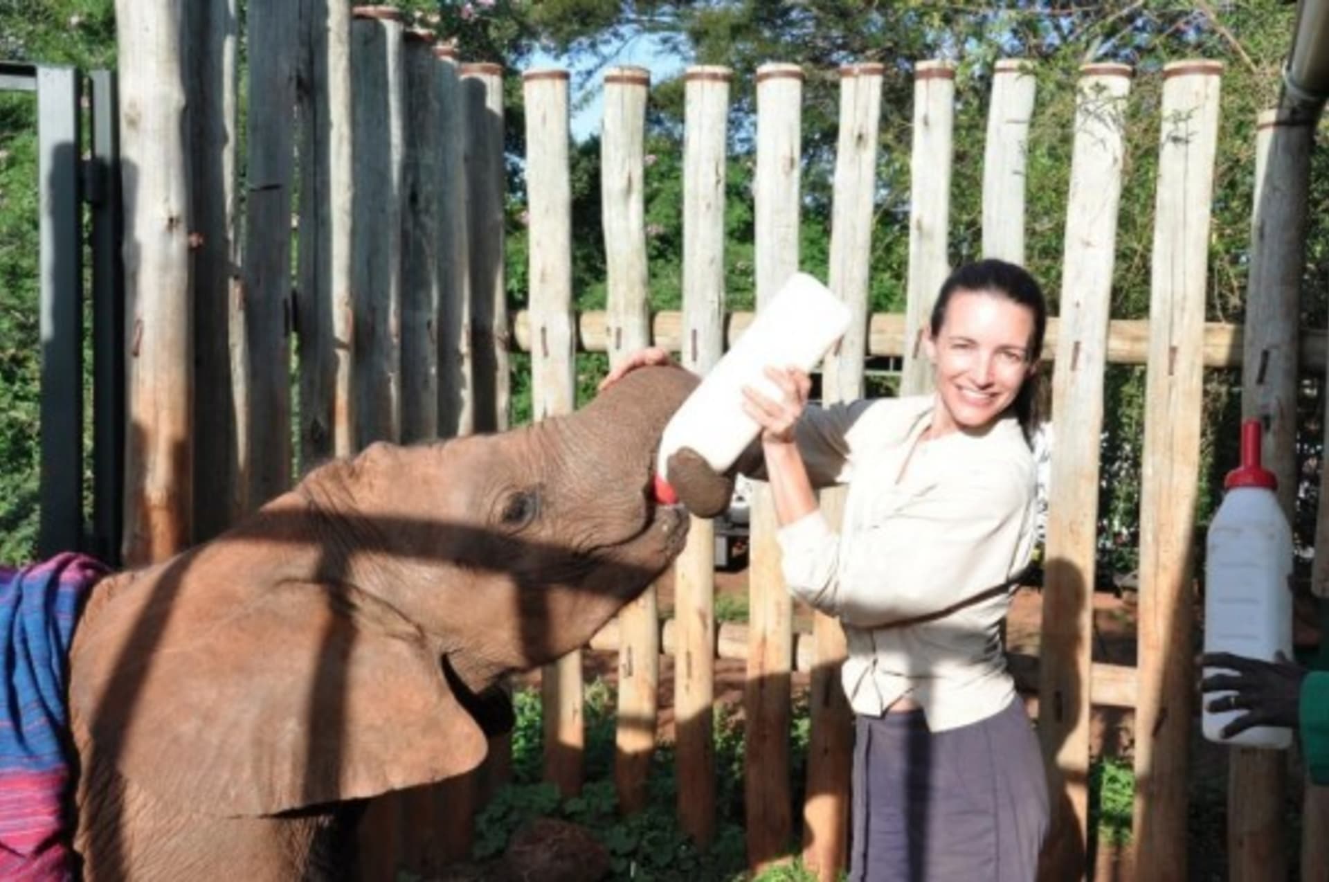 Sex ve městě: Charlotte zachraňuje slony