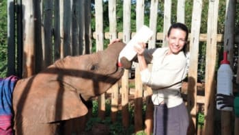 Charlotte ze Sexu ve městě zachraňuje slony!