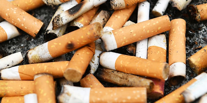 Nedopalky cigaret jsou toxické