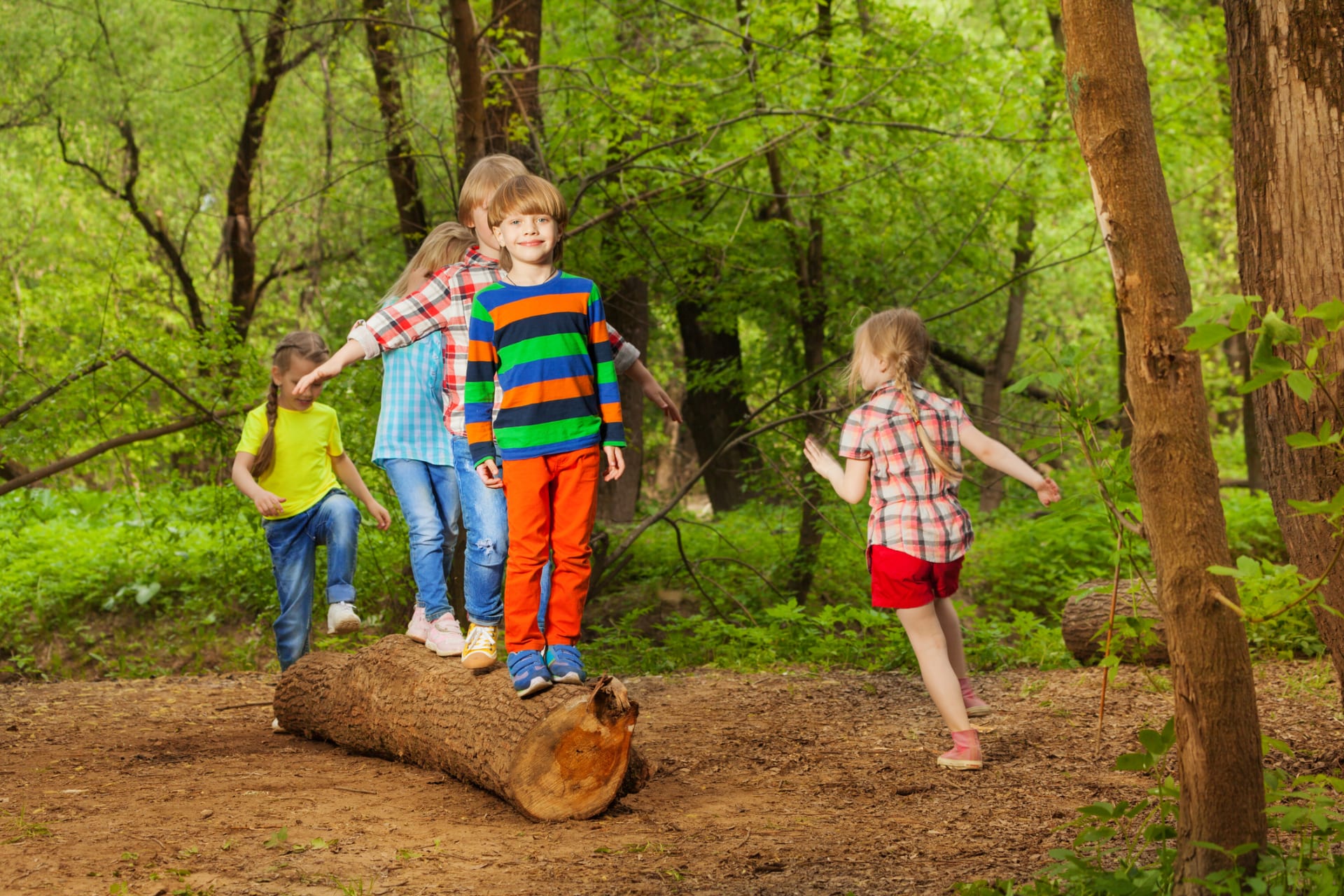 I kláda v lese bude pro děti skvělá zábava