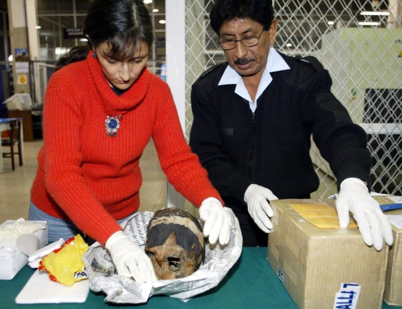 Objev lebek z Paracasu zamotal vědcům hlavu