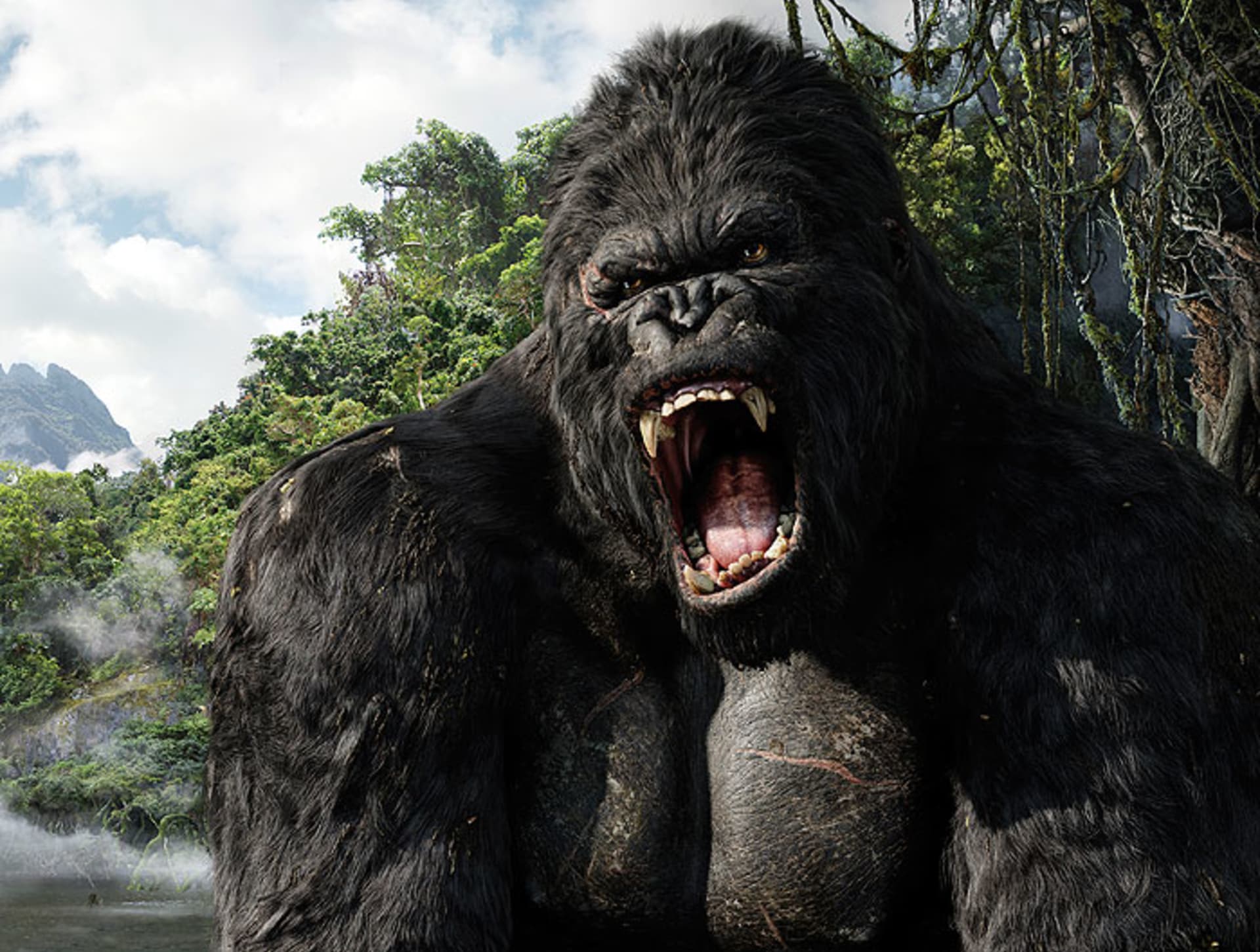Záběry z filmu King Kong