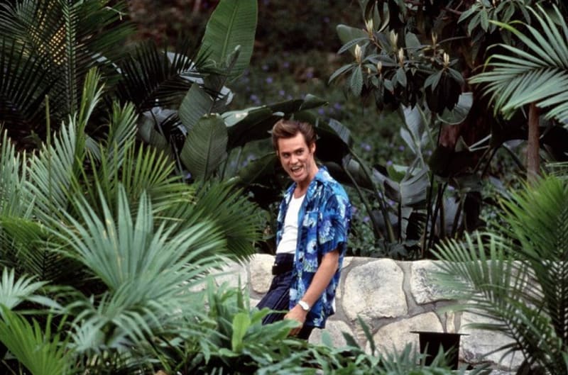 Záběry z filmu  Ace Ventura 2: Volání divočiny