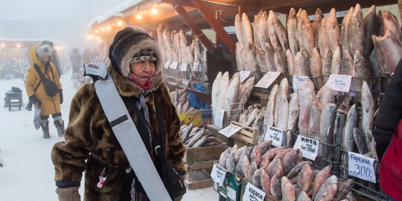 Jiné než mražené ryby v Jakutsku v zimě nekoupíte