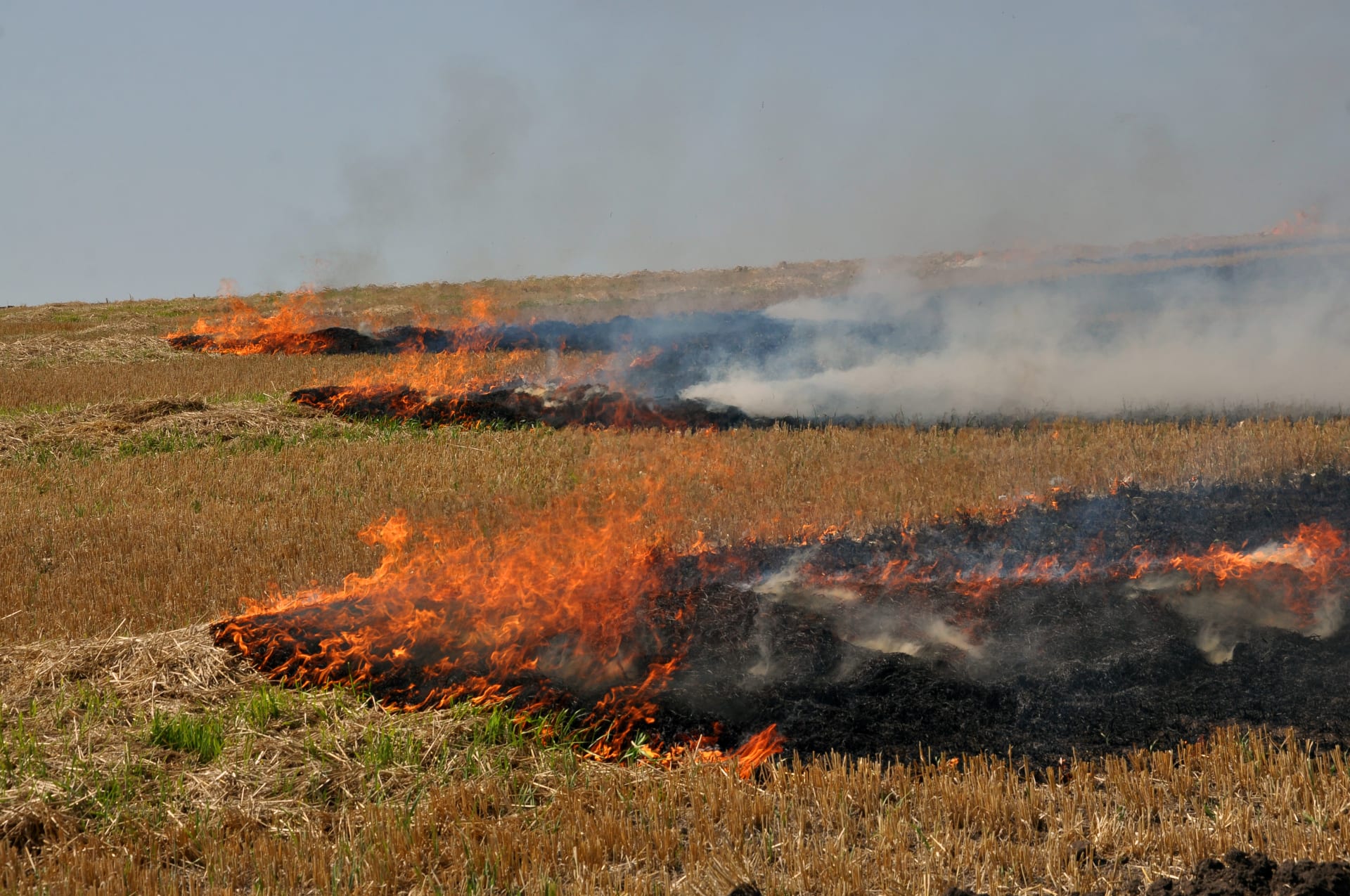 Na severovýchodě Čech hrozí kvůli suchu požáry. (Ilustrační foto)