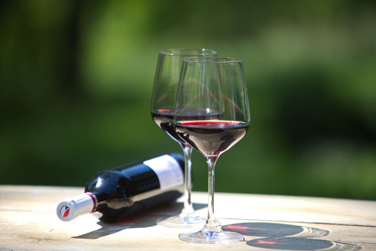 Česká a moravská vína stojí za chutnání