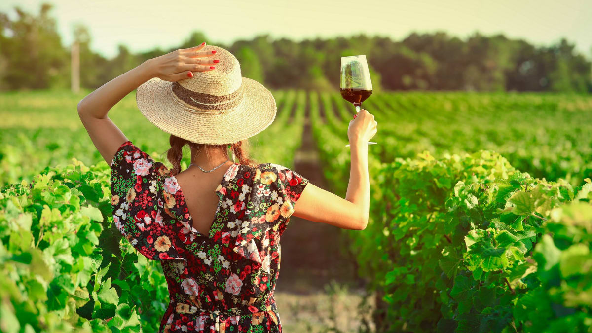 Sklenka vína přímo ve vinohradu má své kouzlo