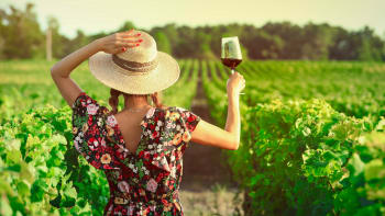 Na zdraví! Velký přehled nejzajímavějších vinařských akcí v červnu 2023