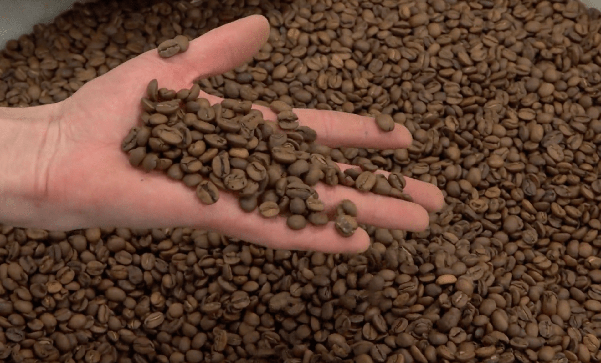 Pro kávu odborníci v Coffeespotu jezdí do Keni a Brazílie. 
