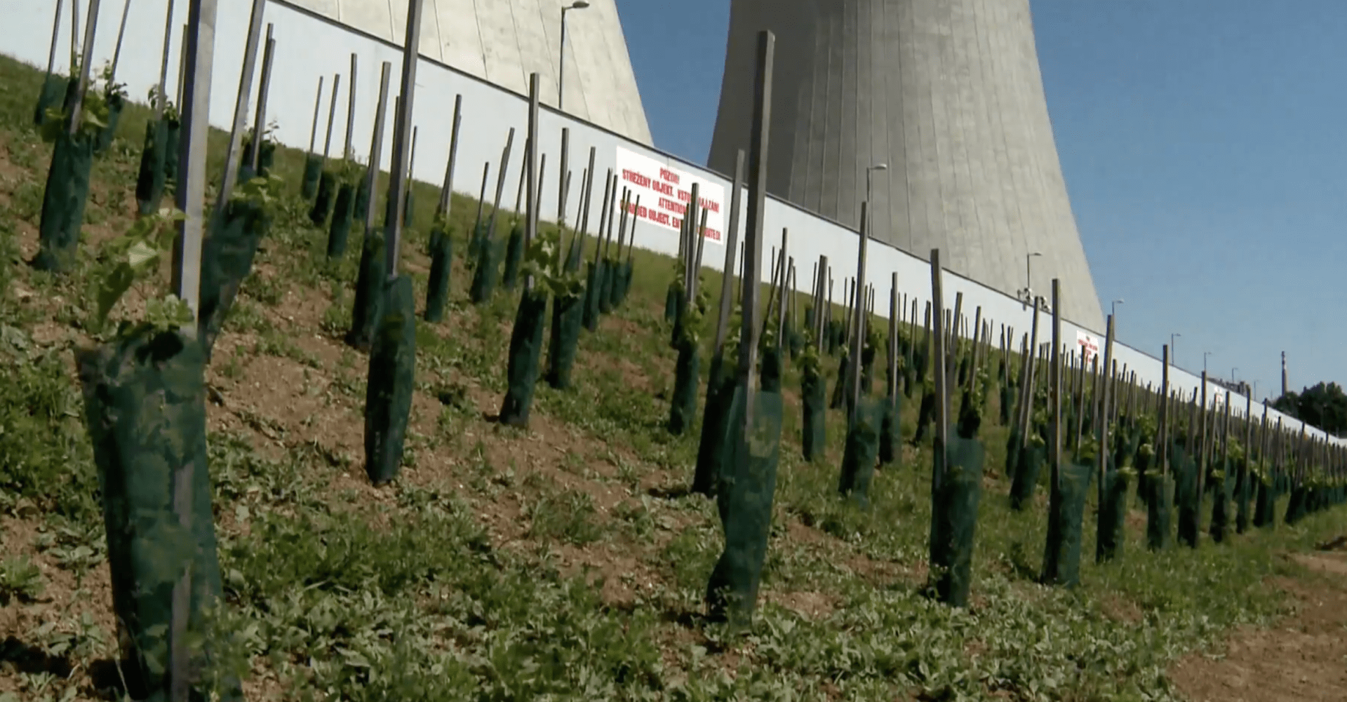 Vinice v areálu Jaderné elektrárny Dukovany