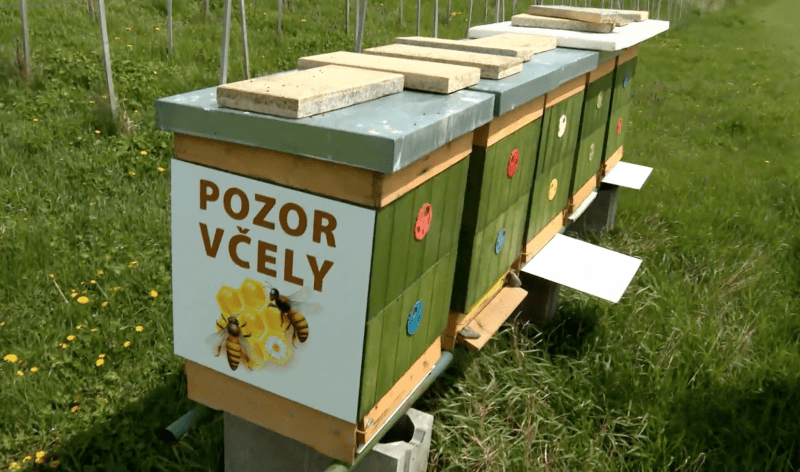 Včelín v areálu Jaderné elektrárny Dukovany